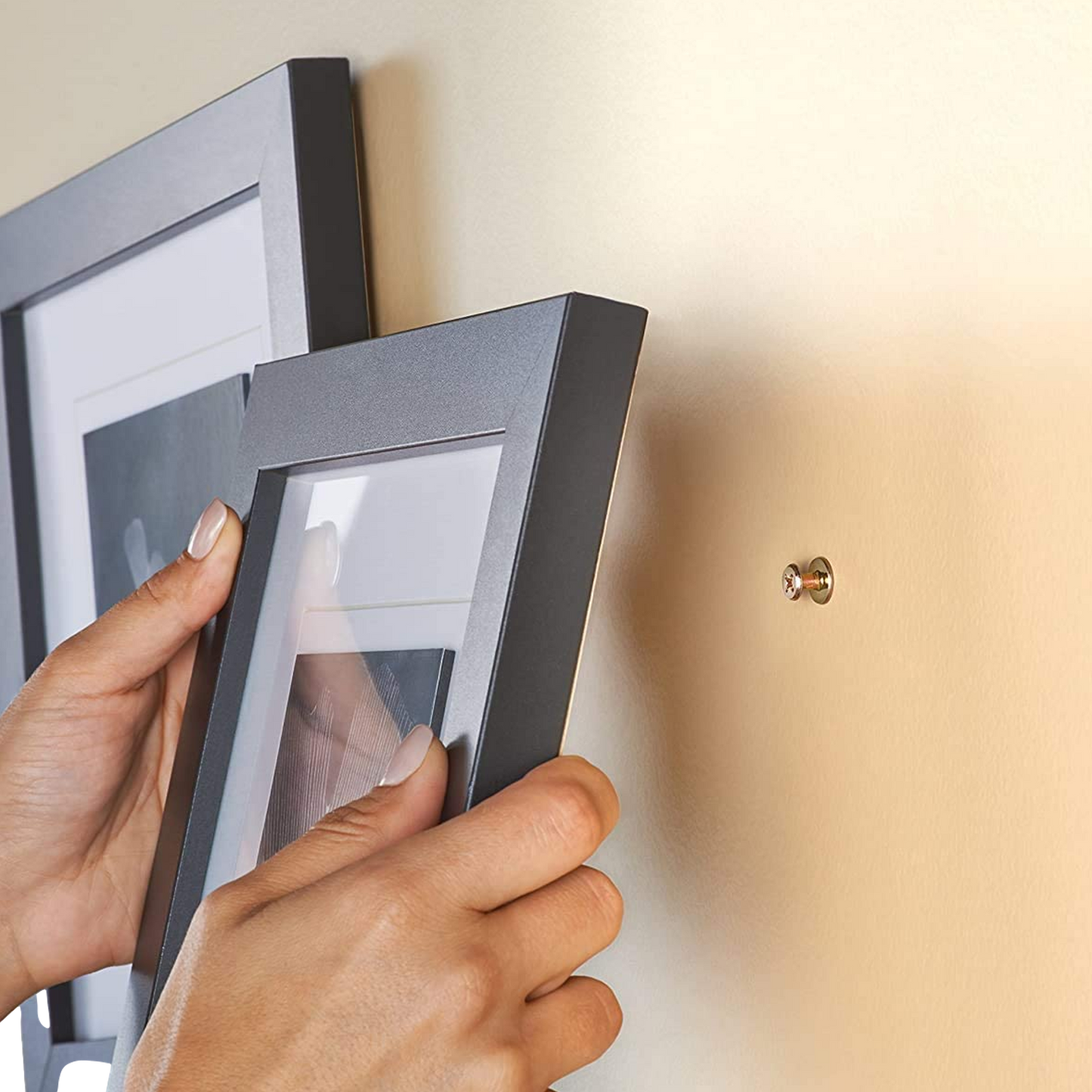 Hangman Gold Bear Claw Picture Hanging Screws (25 Pack) BCK-25