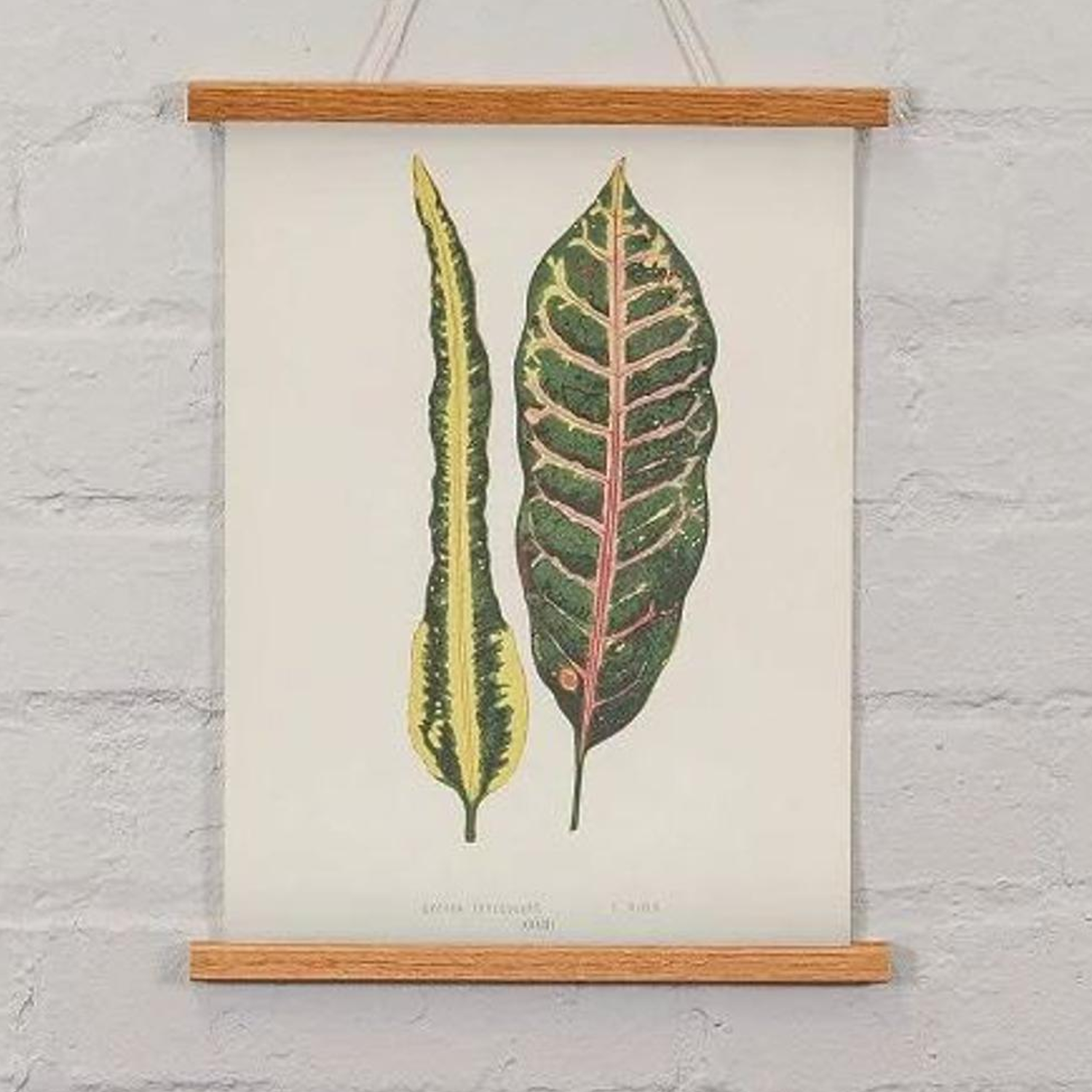 Wooden online poster hangers