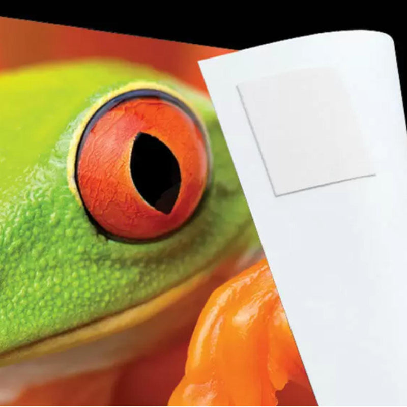 Lineco Self Adhesive Photo Mounting Tabs (500 Pack)