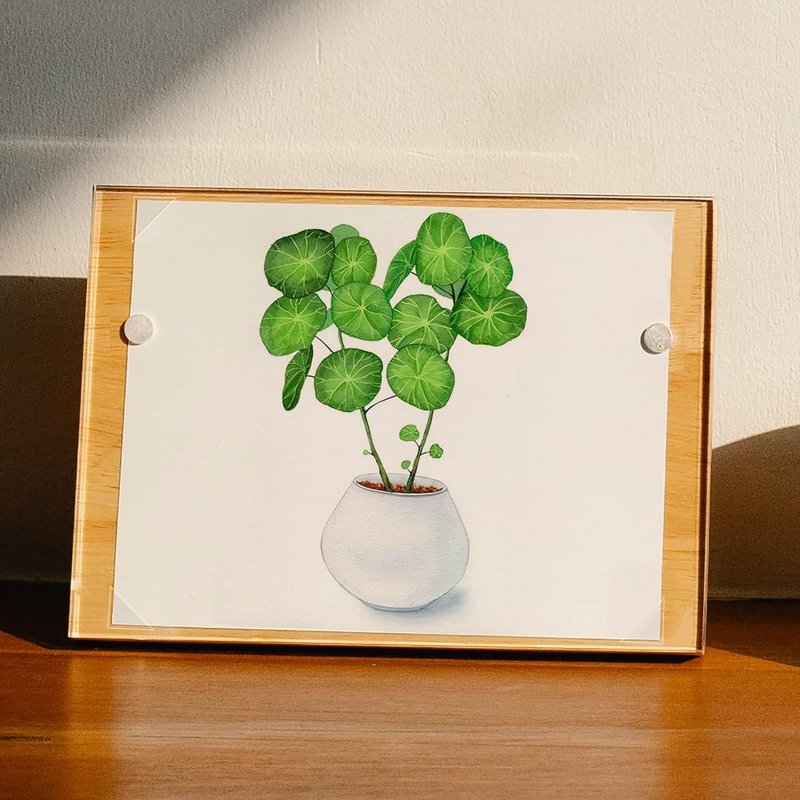 Lineco Clear Photo/Picture Mounting Corners 1.6cm (5/8'') 500 Pack